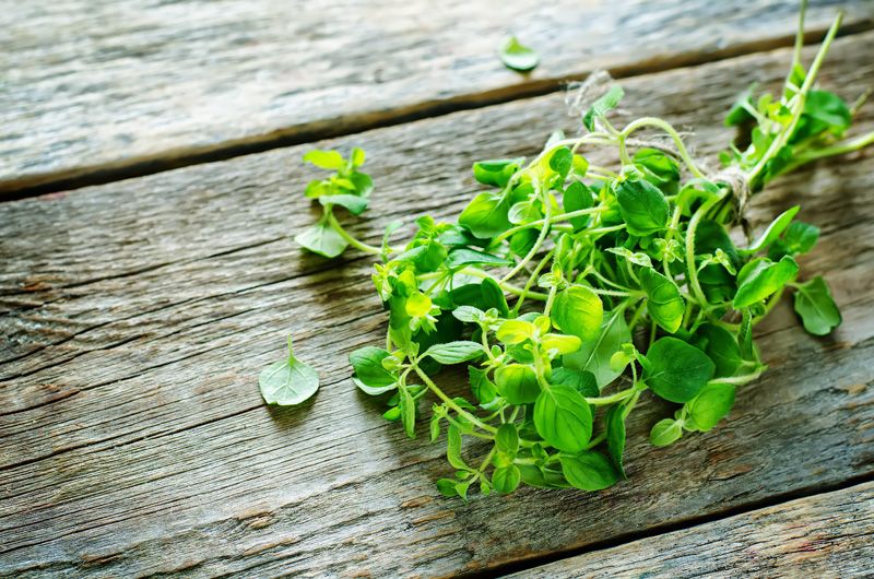 Inhalacje z tymianku, majeranku i oregano
