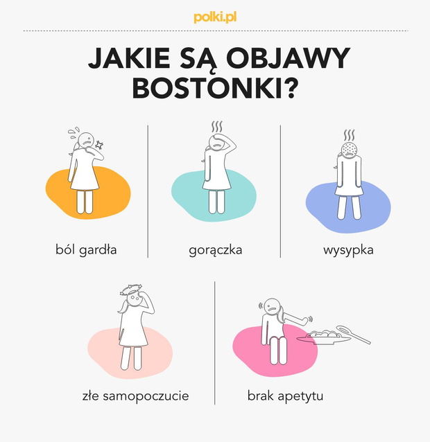 bostonka-2443059-3c61a0b