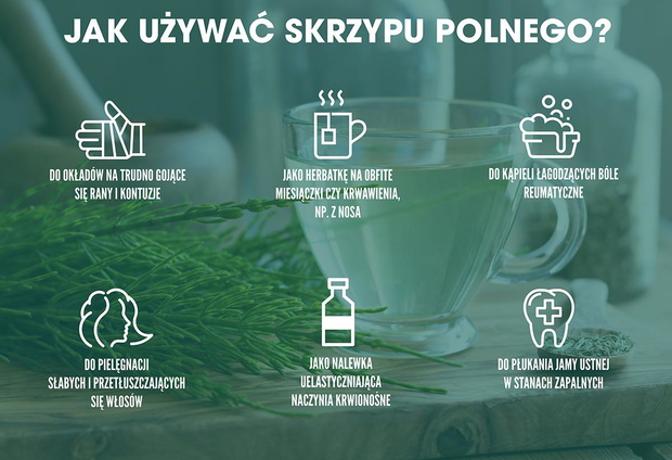 skrzyp-polny-2437009-0615c70