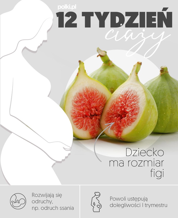 12-tydzien-ciazy-2439044-7b9ef63