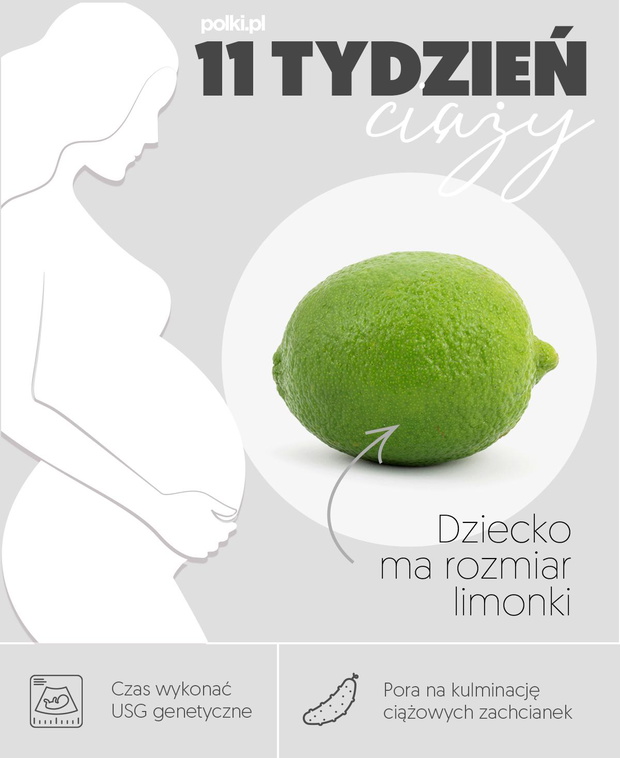 11-tydzien-ciazy-2439043-d9411d1