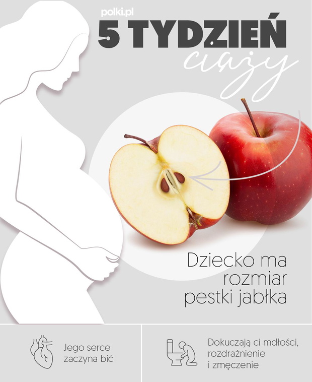 5-tydzien-ciazy-2439048-1c87ad2