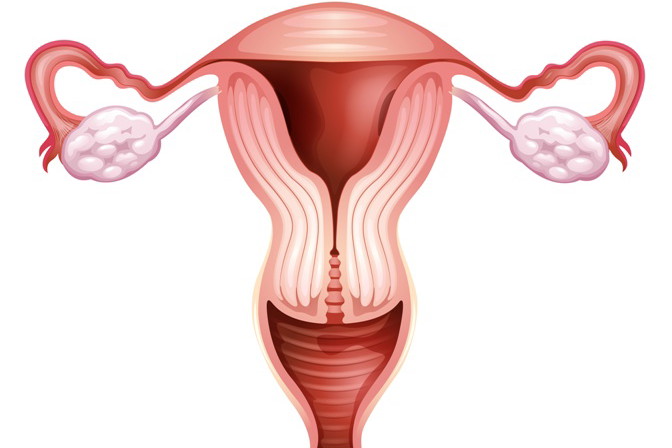 Fotolia