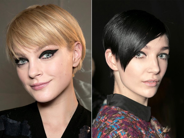 pixie-bob-jak-wyglada-2466204-b5400ed