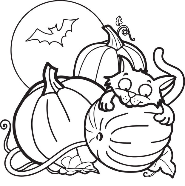 kolorowanki-halloween-do-druku-kot-2490015-e06993c