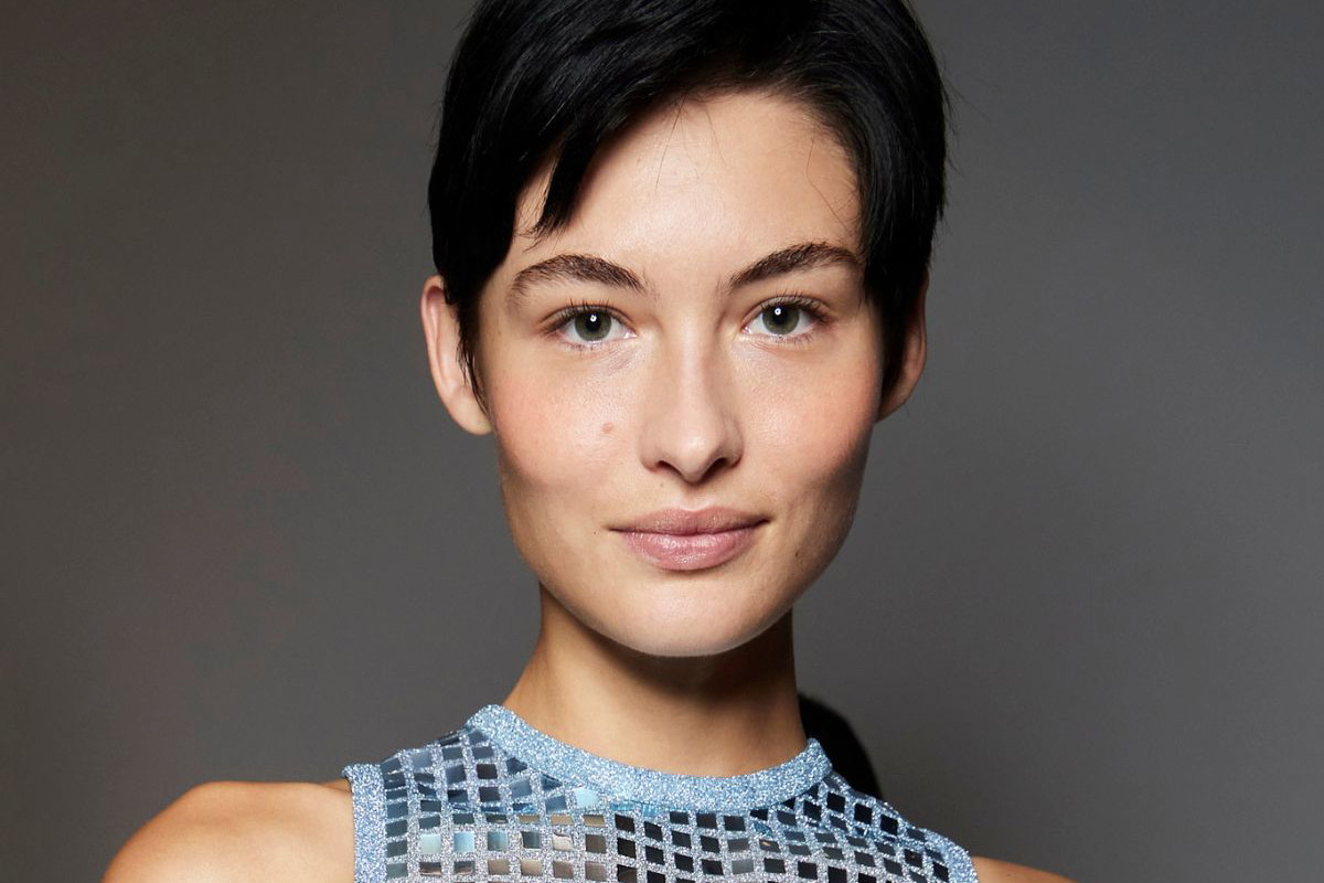 pixie bob