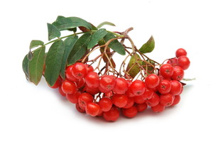Nieznane