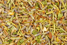 Nieznane