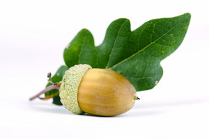 Nieznane
