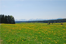 Nieznane