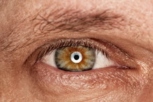 Fotolia