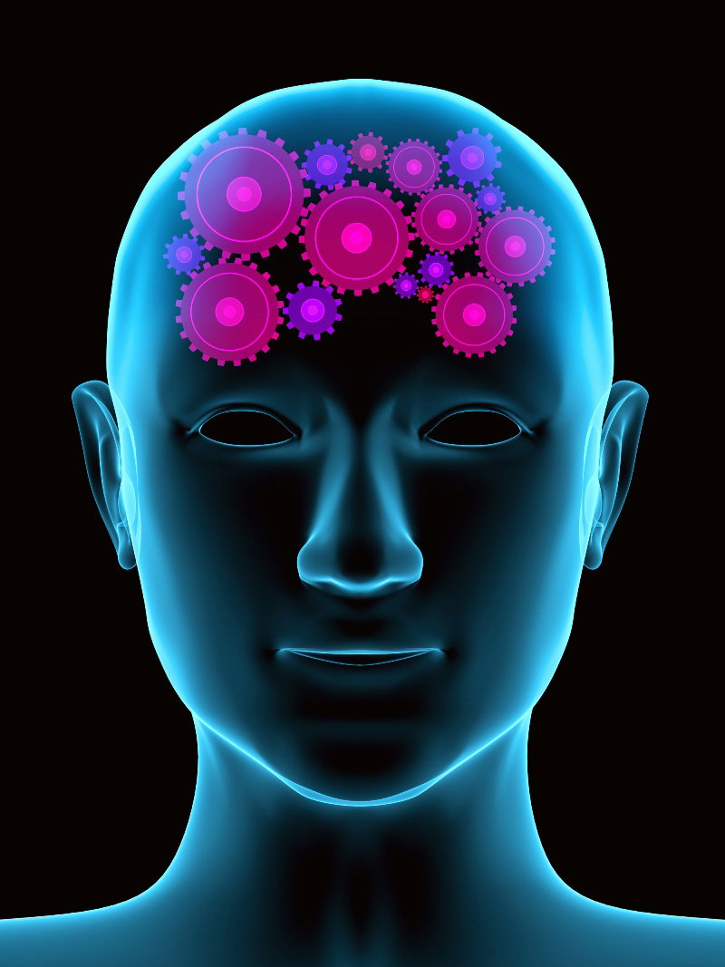 Fotolia