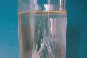 Nieznane