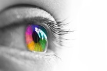 fot. Fotolia