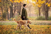Fotolia