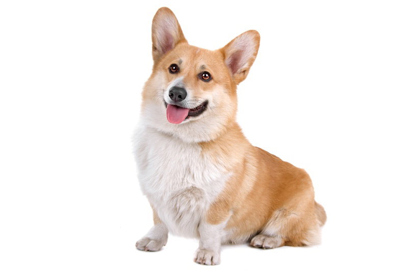 Fotolia