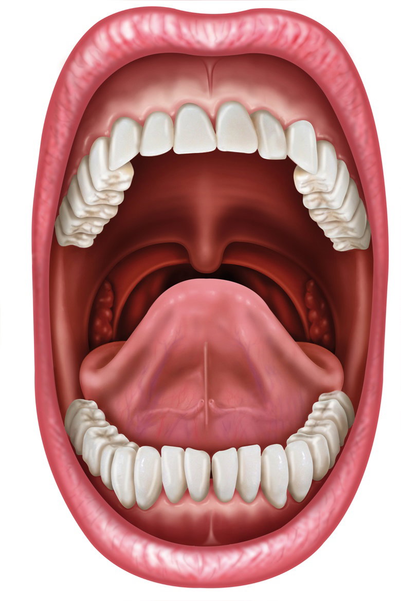 fot. Fotolia