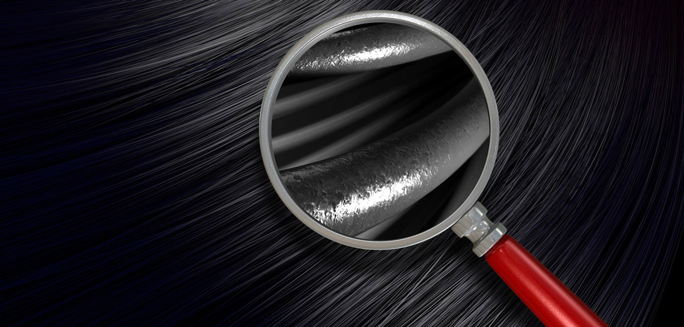 Fotolia
