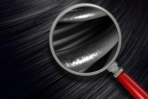 Fotolia