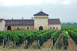 Nieznane