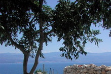 Nieznane