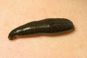 Nieznane