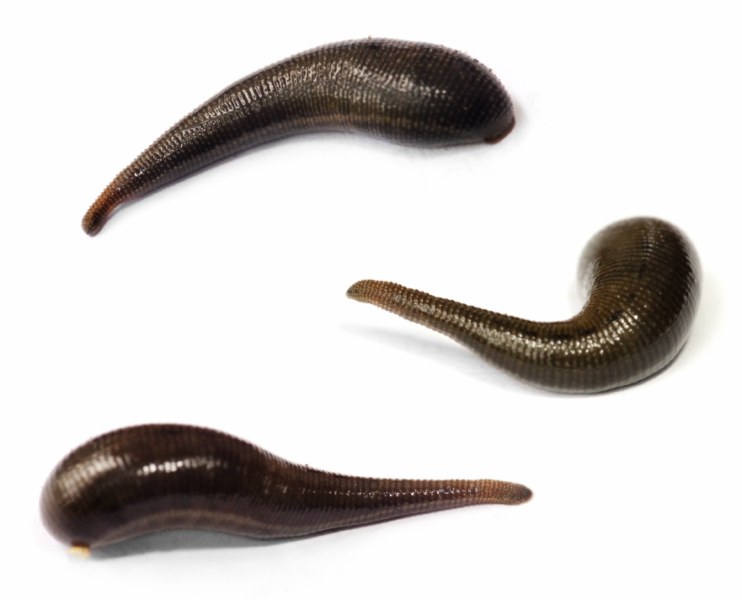 Nieznane