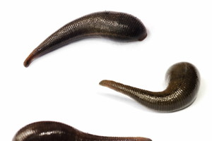 Nieznane