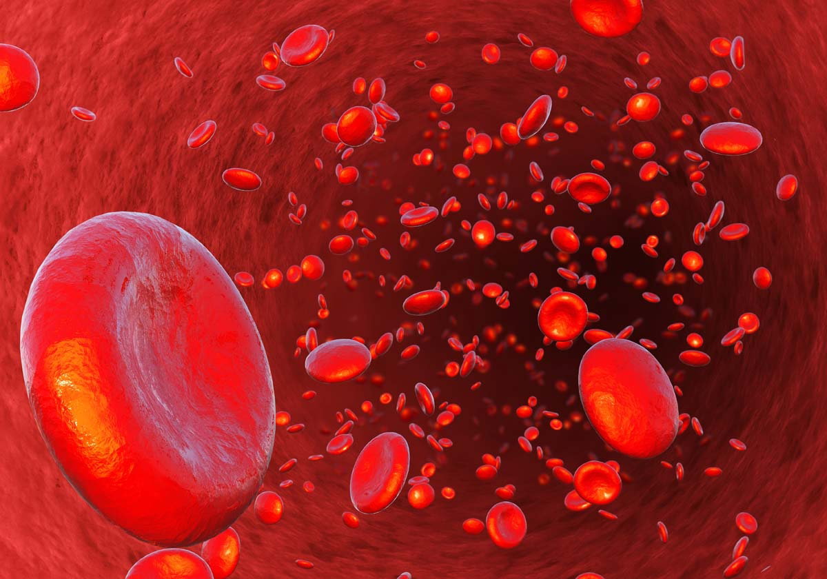 hemoglobina