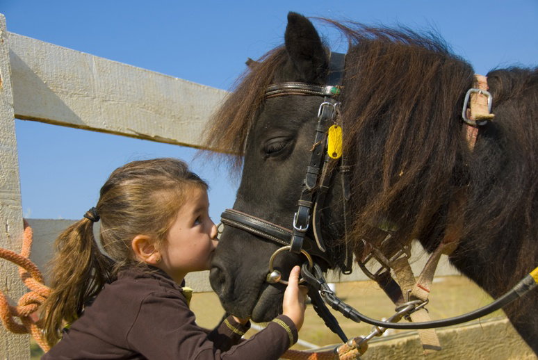Fotolia