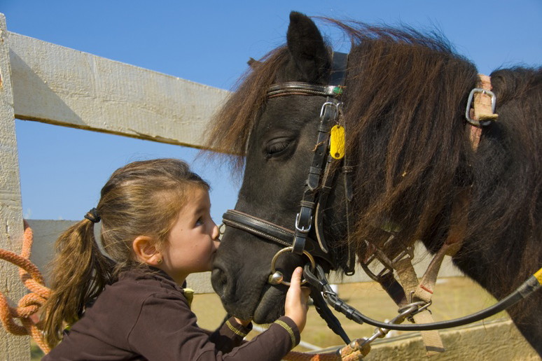 Fotolia