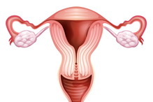 Fotolia