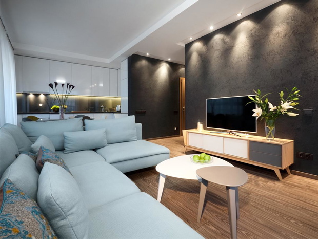 salon-z-aneksem-kuchennym-2472597-1b506fe