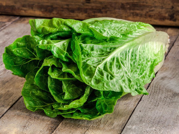 rodzaje-salat-rzymska-2498939-f91a389