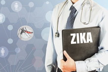 wirus zika