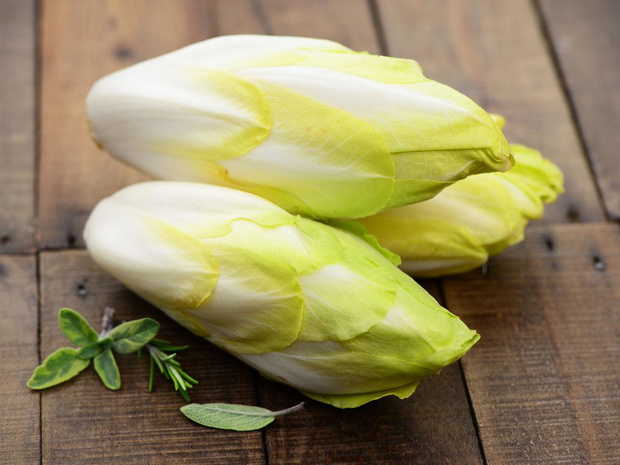 rodzaje-salat-cykoria-2498935-eaa65b6