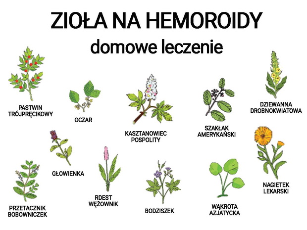 ziola-na-hemoroidy-2438088-7d946ba