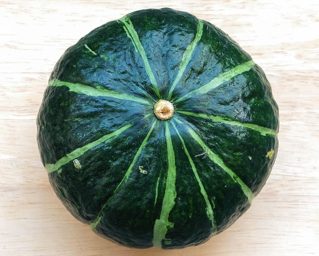 dynia-japonska-kabocha-2331228-d7aa5b7