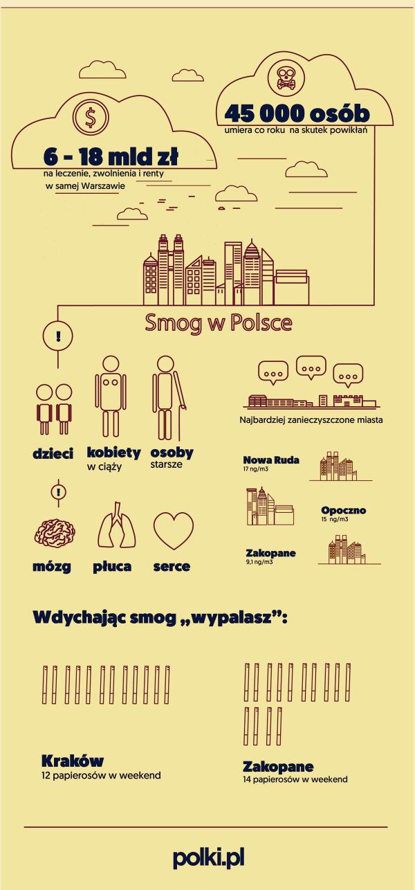 smog-w-polsce-infografika-2331107-589c659