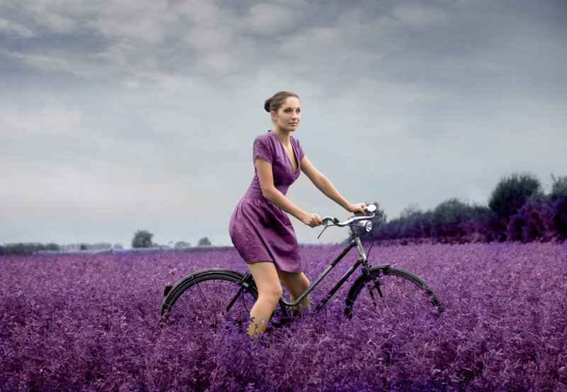 Fotolia