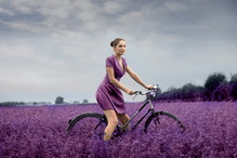 Fotolia