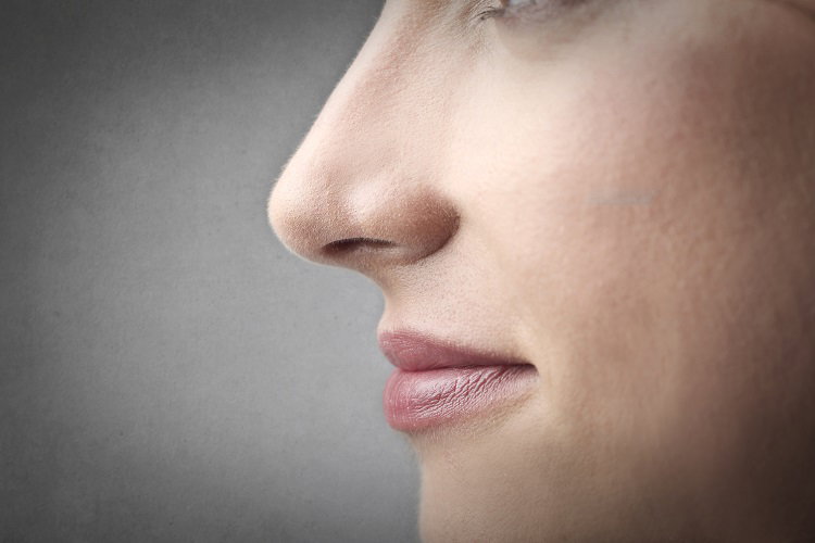 Fotolia