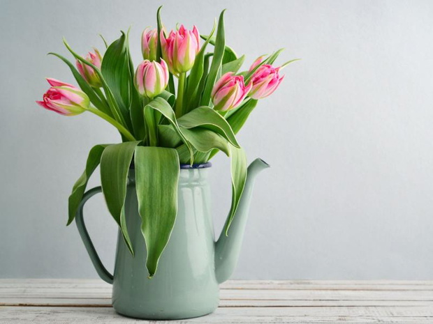 co-zrobic-zeby-tulipany-dlugo-staly-2508662-595842b