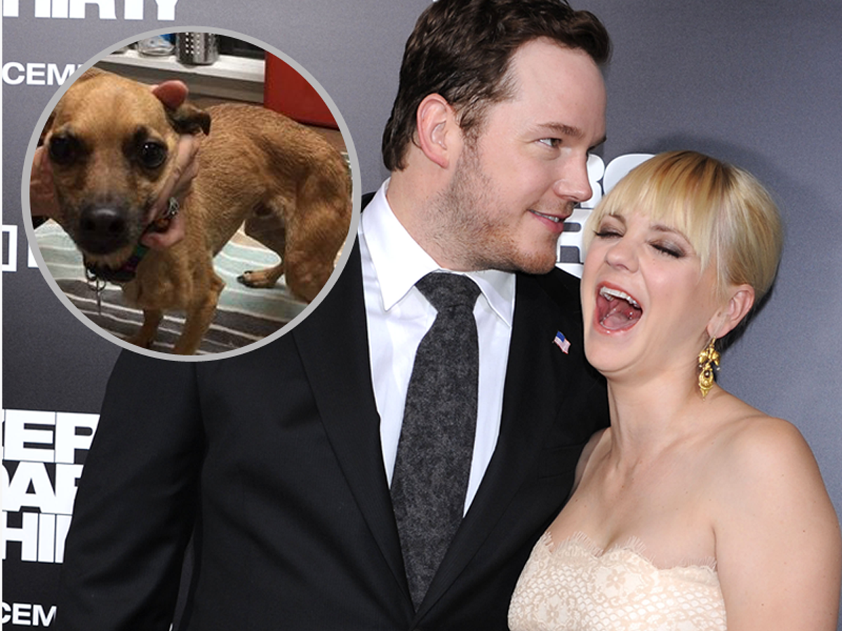 Chris Pratt i Anna Faris