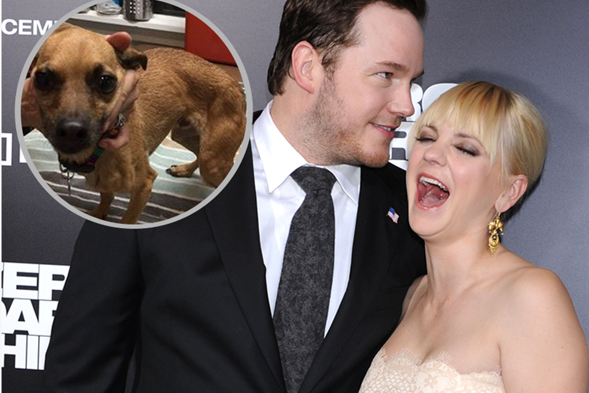 Chris Pratt i Anna Faris