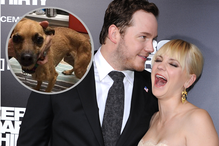 Chris Pratt i Anna Faris