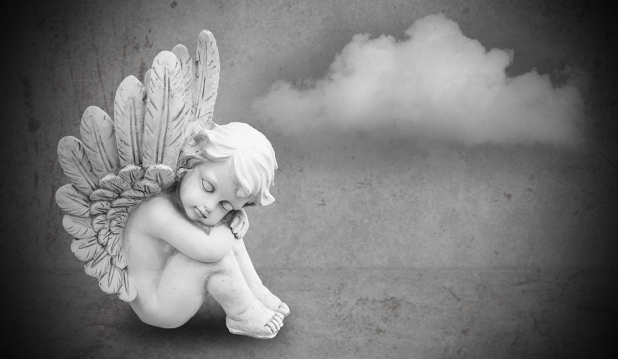 Fotolia