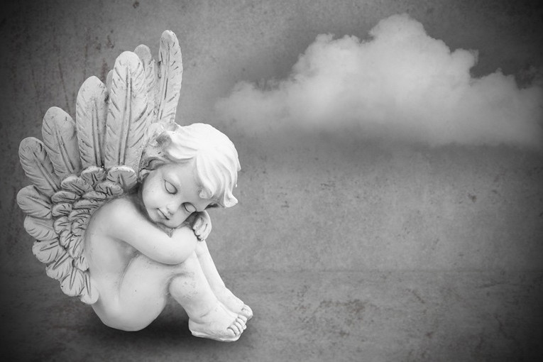 Fotolia