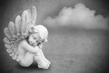 Fotolia