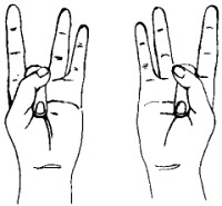 hakinimudra2-51fcc89